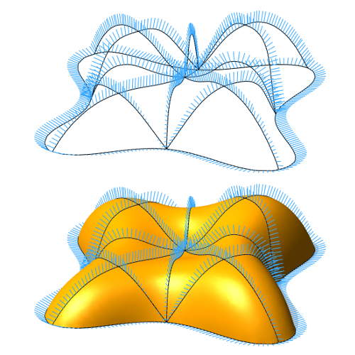 thumbnail Smooth interpolation of curve networks with surface normals